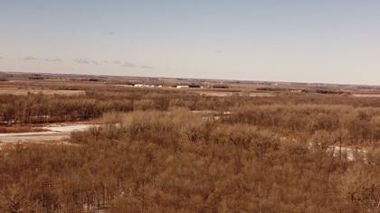 Riparian Forest 3