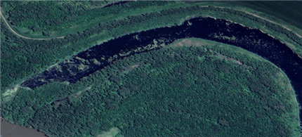 Goggle Earth View Riparian Forrest