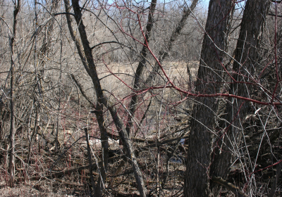 Oxbow End Channel Water 05