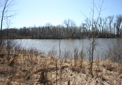 Oxbow South 07