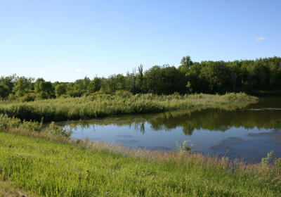 Oxbow South 01