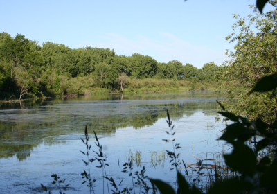 Oxbow North 02