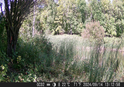 20240901_DSCF0011.JPG