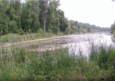 North Oxbow 07/17/2024 Time Lapse