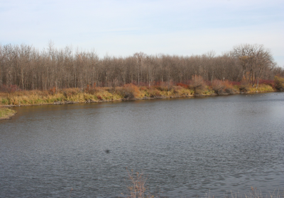 Oxbow South 04